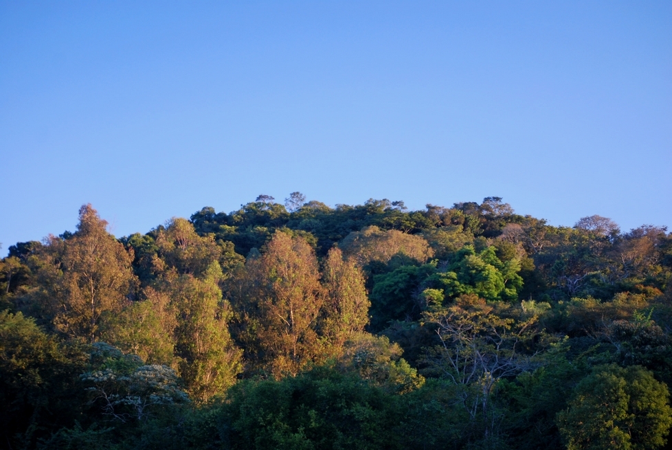 VISTA DA FLONA DE RITAPOLIS - ICMBio